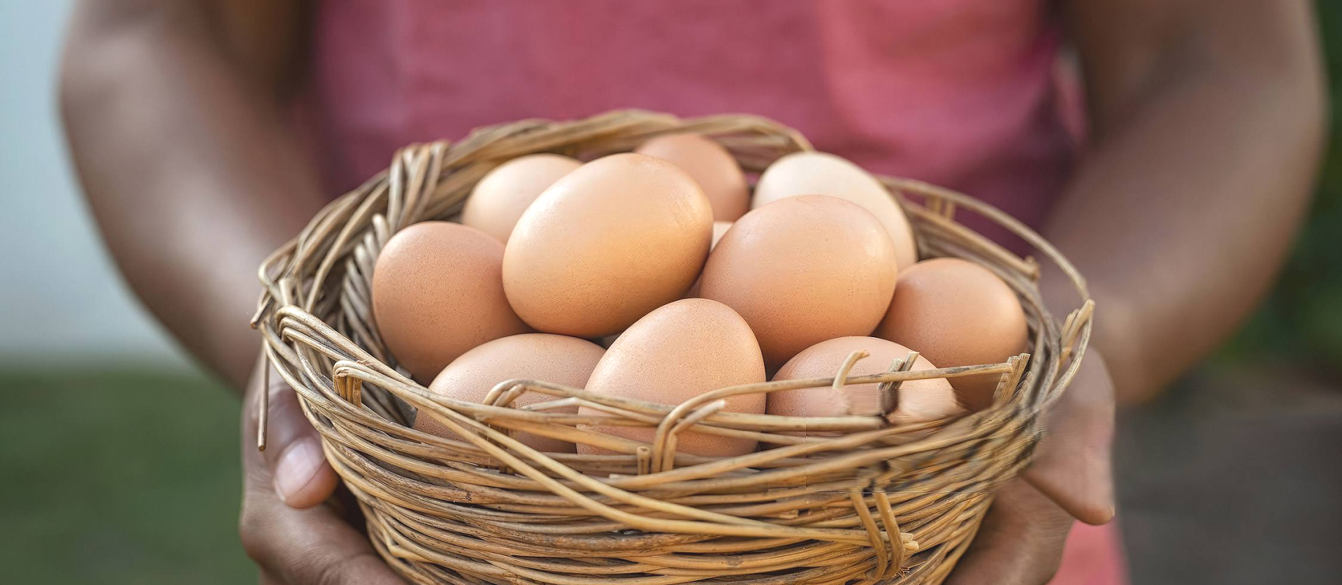 Eggs Collection